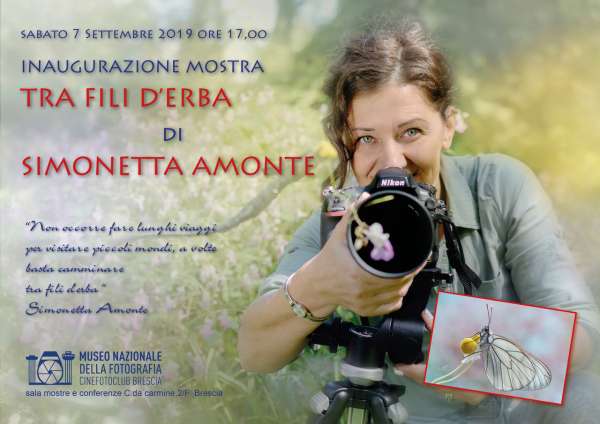 Simonetta Amonte 2019