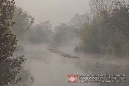 05-Nebbia-2017-Paracchini