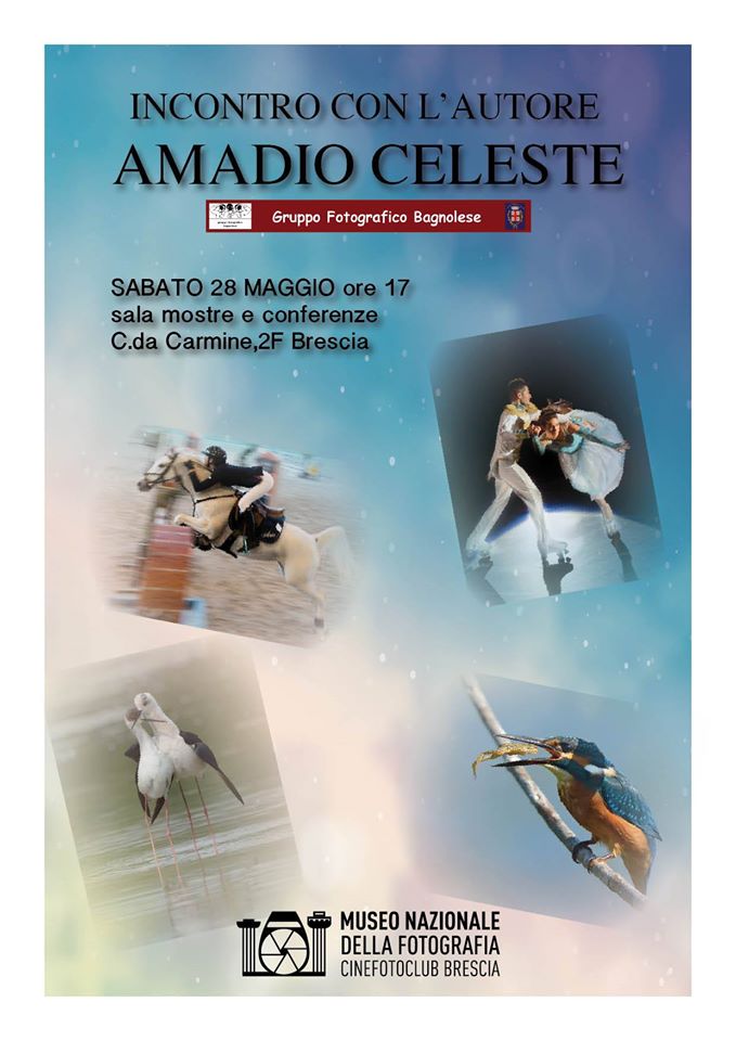 amadio celeste