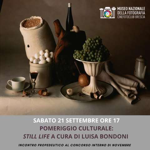 still life:: a cura di Luisa Bondoni