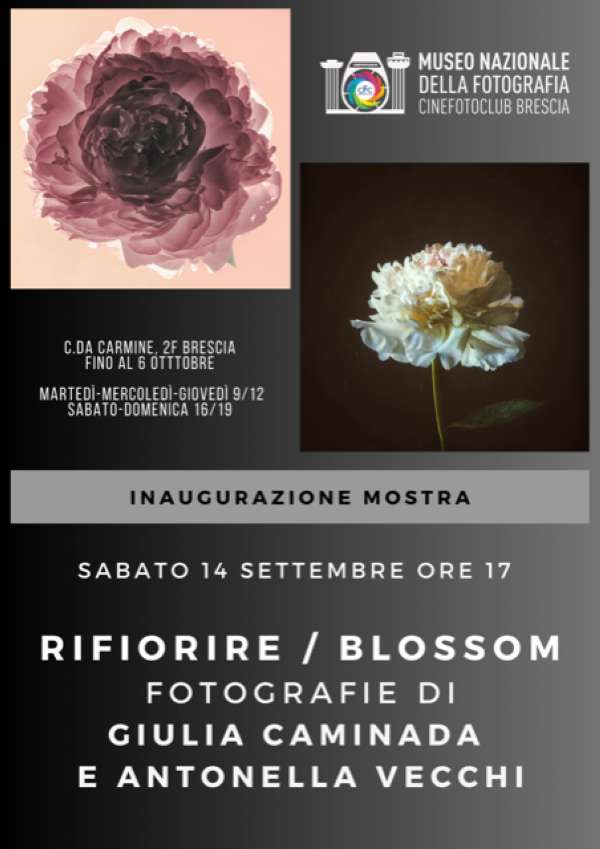 RIFIORIRE / BLOSSOM fotografie di Giulia Caminada e Antonella Vecchi