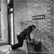 REMOBOSIO-HARRYPOTTER.jpg