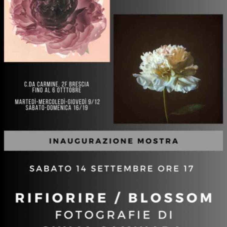 RIFIORIRE / BLOSSOM fotografie di Giulia Caminada e Antonella Vecchi