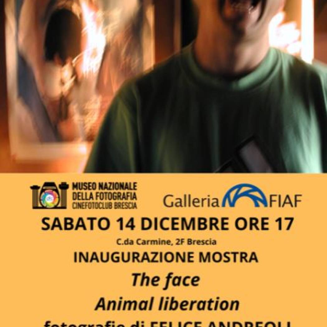 THE FACE / ANIMAL LIBERATION :: fotograﬁe di FELICE ANDREOLI