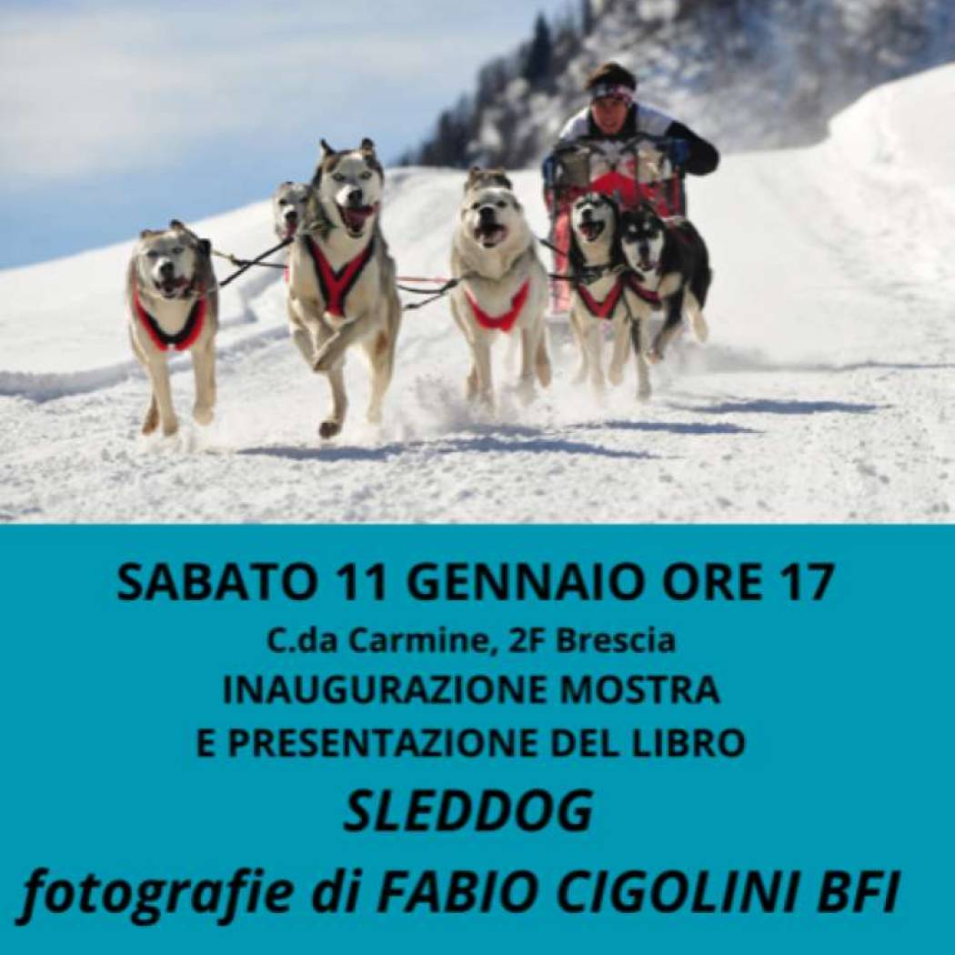 SLEDDOG :: fotografie di FABIO CIGOLINI - BFI