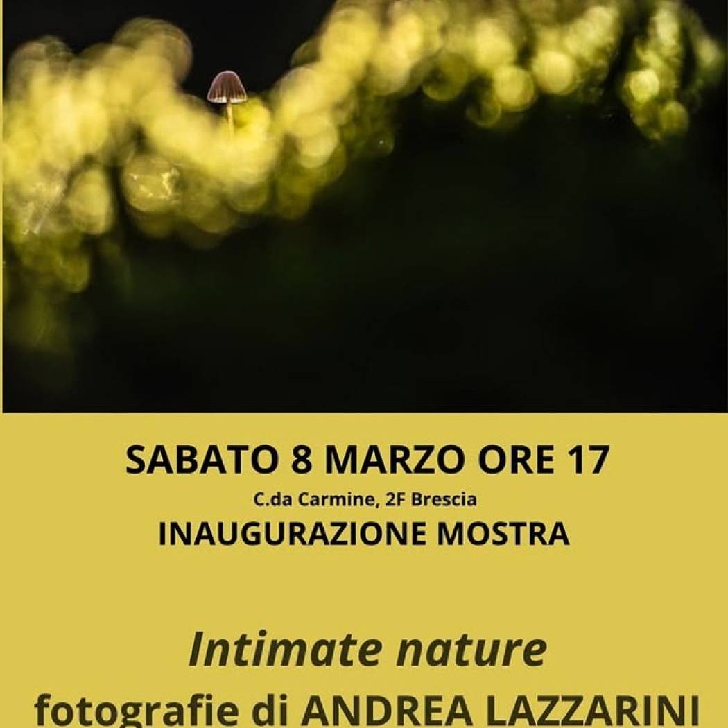 INTIMATE NATURE :: fotografie di ANDREA LAZZARINI